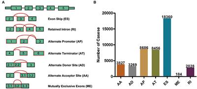 Systematic Profiling of Alternative mRNA Splicing Signature for Predicting Glioblastoma Prognosis